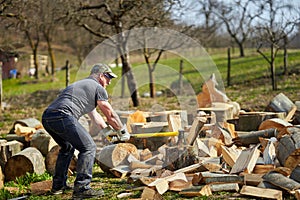 Strong woodman splitting logs