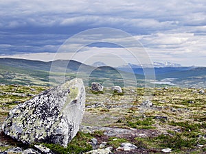 Stroplsjodalen valley, Dovrefjell NP, Norway