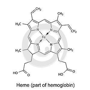 Structural chemical formula of heme molecule