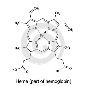 Structural chemical formula of heme molecule photo