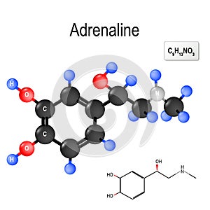 Structural chemical formula and model of molecule of adrenalin