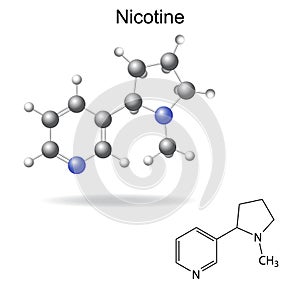 Structural chemical formula and model of nicotine