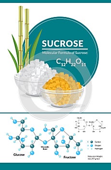 Structural chemical formula and model of sucrose. White and brown sugar cubes in bowls