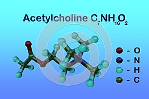 Structural chemical formula and molecular model of acetylcholine