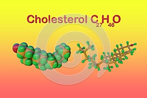 Structural chemical formula and molecular model of cholesterol. It is an organic molecule, a sterol, a type of lipid