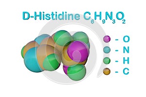 Structural chemical formula and molecular model of d-histidine, an optically active form of histidine havind D