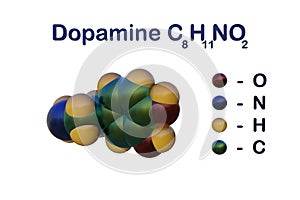 Structural chemical formula and molecular model of dopamine, also known as love and happiness hormone. It functions both