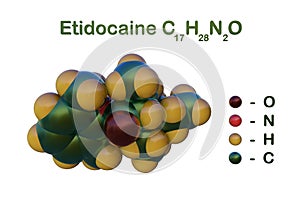 Structural chemical formula and molecular model of etidocaine, a local anaesthetic given by injection during surgical