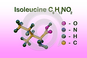 Structural chemical formula and molecular model of l-isoleucine or isoleucine, an amino acid used in the biosynthesis of