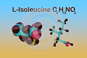 Structural chemical formula and molecular model of l-isoleucine or isoleucine, an amino acid used in the biosynthesis of