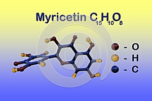 Structural chemical formula and molecular model of myricetin, a plant-derived flavonoid that is well known for