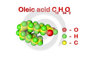 Structural chemical formula and molecular model of oleic acid. It is a monounsaturated fatty acid that occurs in various