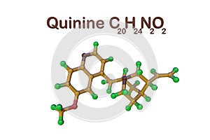 Structural chemical formula and molecular model of quinine. It is a medication used to treat malaria and babesiosis