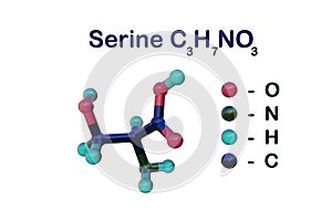 Structural chemical formula and molecular model of serine, the nonessential amino acid derived from glycine. Medical