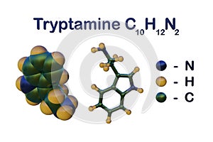 Structural chemical formula and molecular model of tryptamine, a monoamine alkaloid, structurally similar to the amino