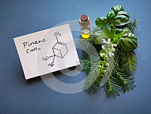 Structural chemical formula of pinene with essential oil and fresh herbs