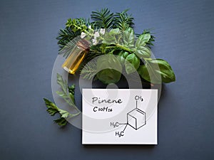 Structural chemical formula of pinene with essential oil and fresh herbs