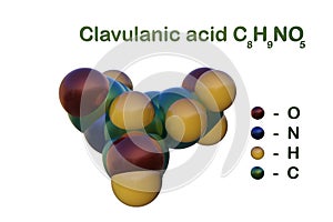 Structural chemical formula and space-filling molecular model of clavulanic acid, an inhibitor of beta-lactamase. 3d