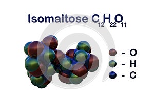 Structural chemical formula and space-filling molecular model of isomaltose, a disaccharide formed from two units of