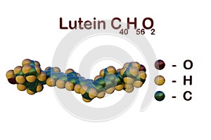 Structural chemical formula and space-filling molecular model of lutein, a naturally carotenoid found in vegetables and
