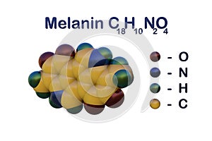 Structural chemical formula and space-filling molecular model of melanin, a skin pigment that gives human skin, hair and