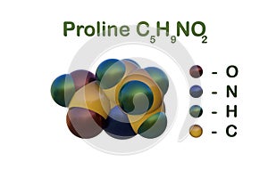 Structural chemical formula and space-filling molecular model of proline. Proline is used in the biosynthesis of photo