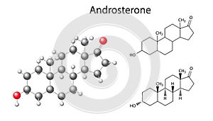 Structural chemical formulas and model of androsterone molecule