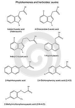 Structural chemical formulas of phytohormones and herbicides (auxins)