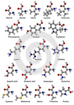 Structural chemical formulas of twenty basic amino acids photo