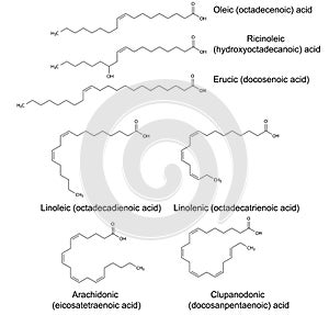 Structural chemical formulas of unsaturated fatty acids