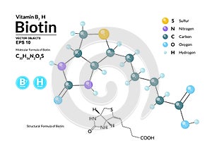 Structural chemical molecular formula and model of Biotin. Atoms are represented as spheres with color coding