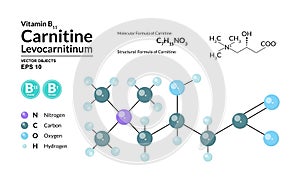 Structural chemical molecular formula and model of Carnitine. Atoms are represented as spheres with color coding