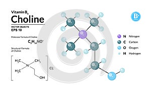 Structural chemical molecular formula and model of choline. Atoms are represented as spheres with color coding