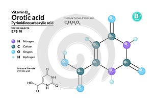 Structural chemical molecular formula and model of Orotic acid. Atoms are represented as spheres with color coding