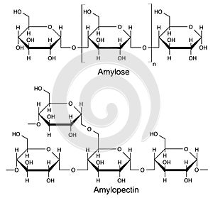 Structural components of the starch. Chemical formula