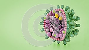 Structural detail of Hepatitis B virus isolated on green background. 3D illustration