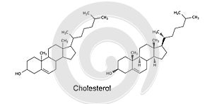 Structural formulas of cholesterol molecule photo