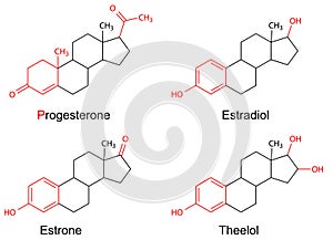 Structural formulas of female sex hormones with marked variable fragments