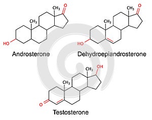 Structural formulas of male sex hormones with marked variable fragments photo