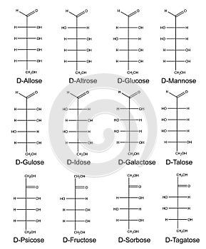 Structural formulas of monosaccharides (hexoses)