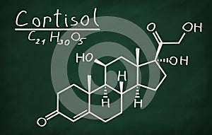 Structural model of Cortisol