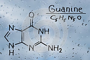 Structural model of Guanine