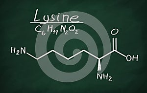 Structural model of Lysine