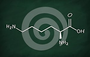 Structural model of Lysine