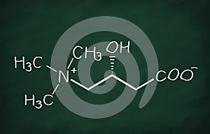 Structural model of Lysine