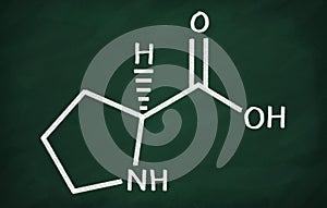 Structural model of Proline