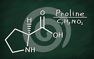 Structural model of Proline