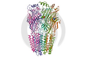 Structure of the  alpha1beta1gamma2S tri-heteromeric GABAA receptor in complex with GABA spacefill