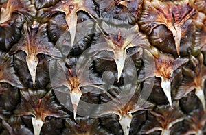 Structure of brown dried pineapple