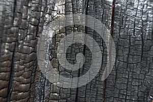 Structure of burnt tree trunk, charred log as background. Consequences of fire